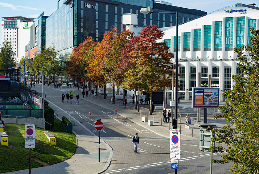 wembley stadium urban trees
